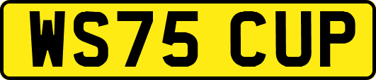 WS75CUP