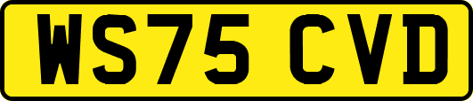 WS75CVD