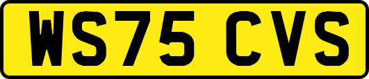 WS75CVS