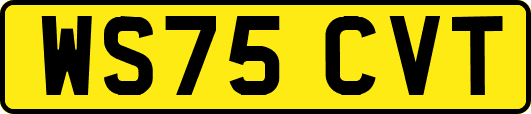 WS75CVT