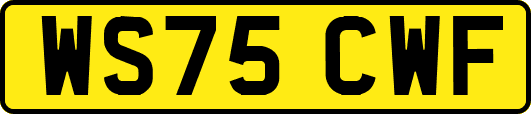 WS75CWF