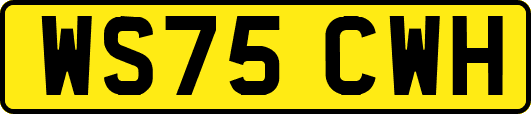 WS75CWH