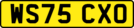 WS75CXO