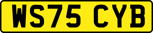 WS75CYB