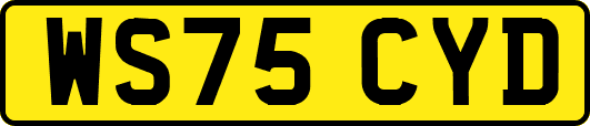 WS75CYD