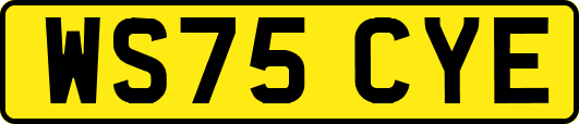 WS75CYE