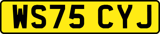 WS75CYJ