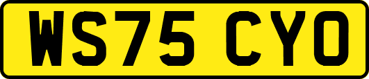 WS75CYO