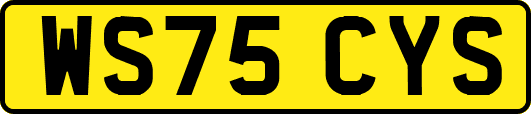 WS75CYS