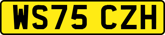 WS75CZH