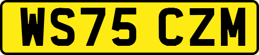WS75CZM