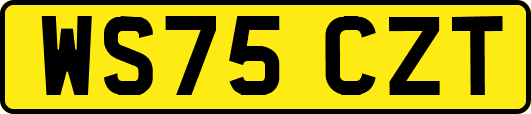 WS75CZT