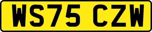 WS75CZW
