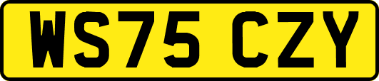 WS75CZY