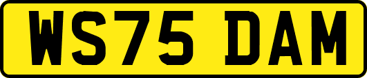 WS75DAM