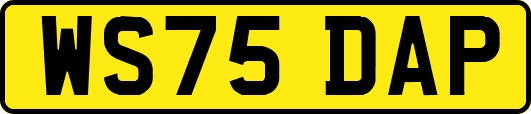 WS75DAP
