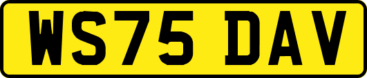 WS75DAV