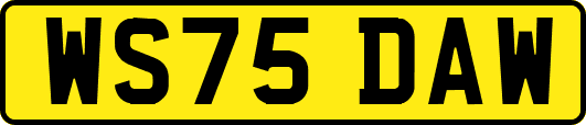 WS75DAW