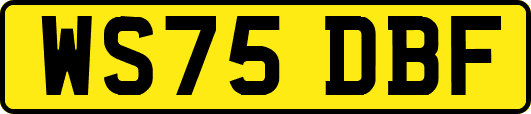 WS75DBF