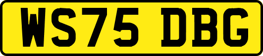 WS75DBG