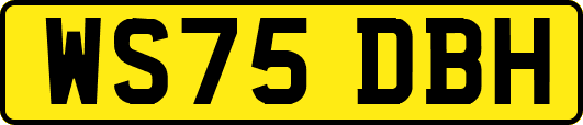 WS75DBH