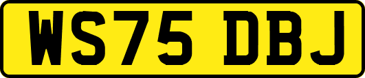 WS75DBJ