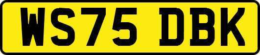 WS75DBK