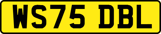 WS75DBL