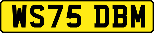 WS75DBM