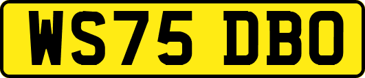WS75DBO