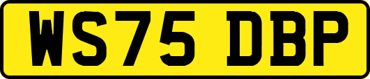 WS75DBP