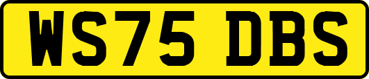 WS75DBS