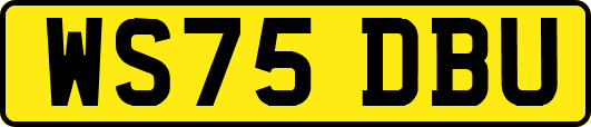 WS75DBU