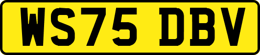 WS75DBV