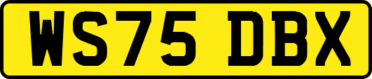 WS75DBX