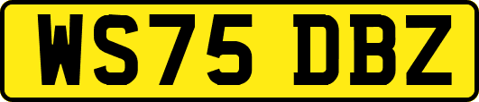 WS75DBZ