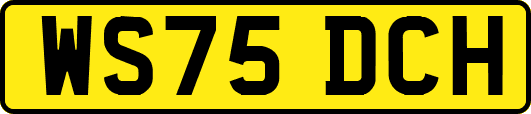 WS75DCH