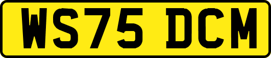 WS75DCM