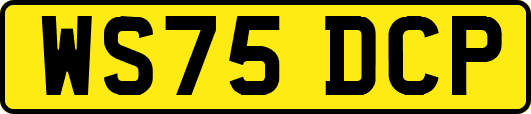 WS75DCP
