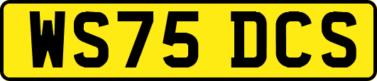 WS75DCS