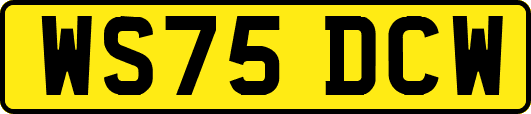 WS75DCW