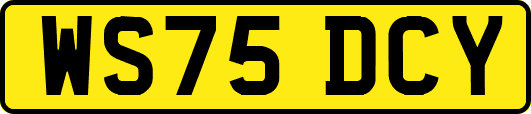WS75DCY