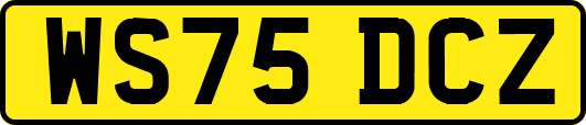 WS75DCZ