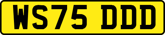 WS75DDD