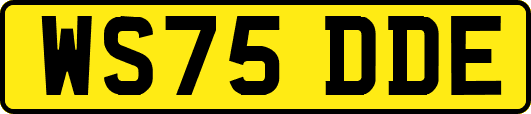 WS75DDE