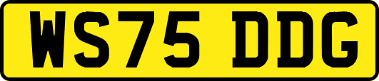 WS75DDG