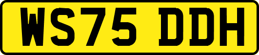 WS75DDH