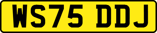 WS75DDJ