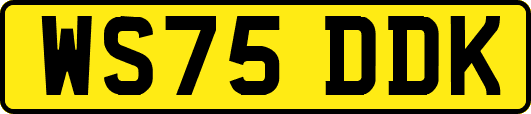 WS75DDK