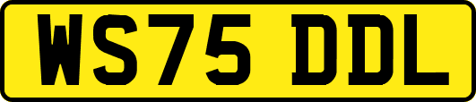 WS75DDL